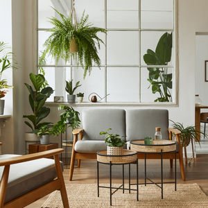 7 maddede süs bitkisi alma rehberi