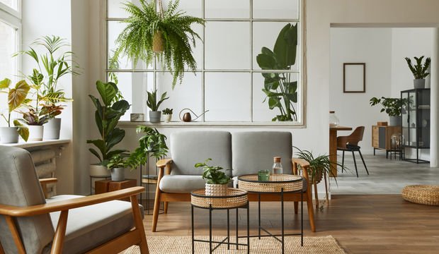 7 Maddede süs bitkisi alma rehberi