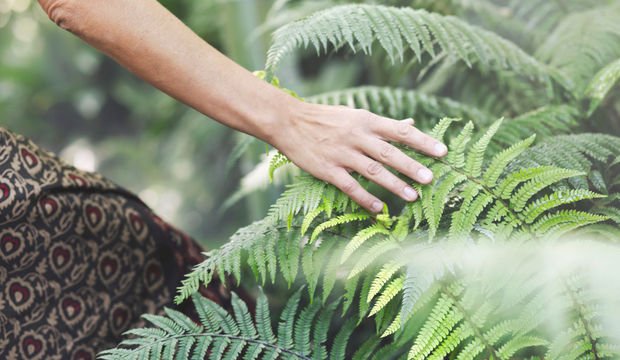 Kabul ve kararlılık terapisi nedir?