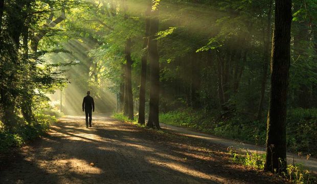 30 yıldır ormanda yaşayan adam: Oh So Seng