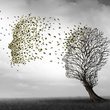 Alzheimer hastalığında hangi evrede ne olur?