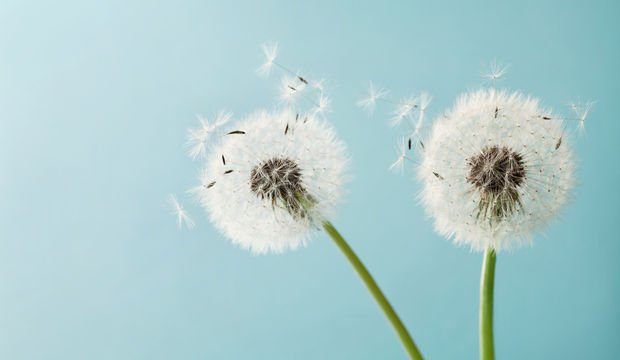 Hayatın halleri: Haklıyım - Haksızsın