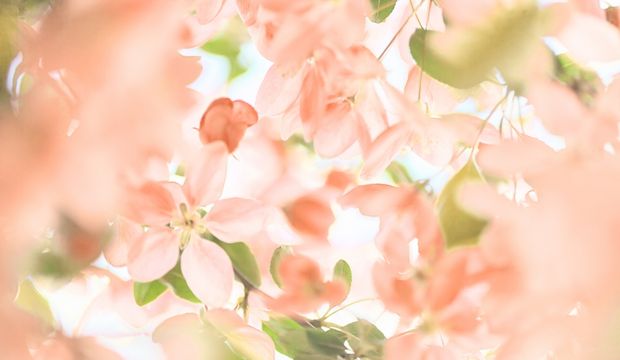 Manifesting nedir? Nasıl manifest yapılır?