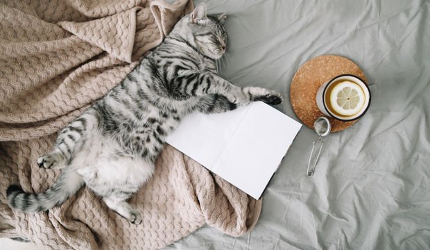 Kolay uyanma taktikleri nelerdir?