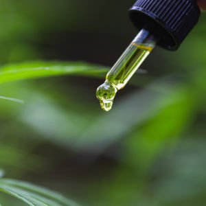 CBD yağı nedir, ne değildir?