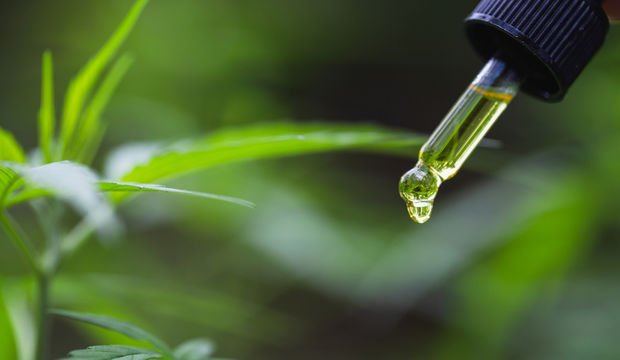 Cbd Yağı Nedir? 
