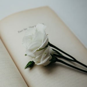 Ruhumuza iyi gelen şiirler