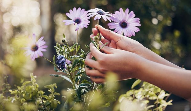 İnsan kendini nasıl sabote eder?