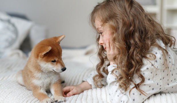 Evcil hayvan beslemenin çocuğa faydaları