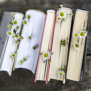 Türk şiirinin saklı hazinesi: Mefkûre