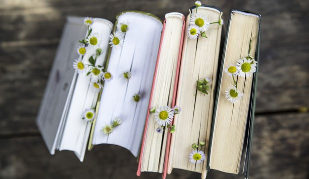 Türk şiirinin saklı hazinesi: Mefkure