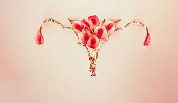 Yumurtlama nedir? Ne zaman gerçekleşir?