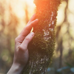 Sen değiş, dünyan değişsin