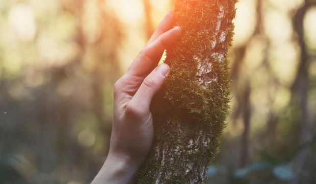 Sen değiş, dünyan değişsin