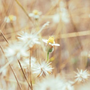 Aşırı kontrolcü olmak sizi yoruyor mu?
