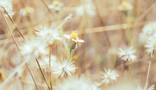 Aşırı kontrolcülere 4 tavsiye