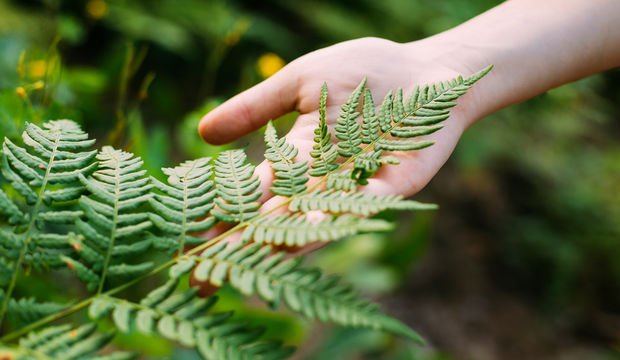 İyi karmanın 12 faydası