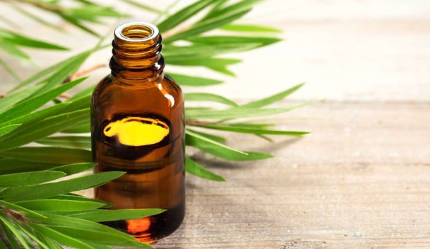 Keneleri uzak tutan bitkiler ve doğal yağlar