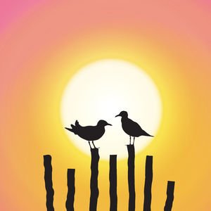 Güneş hakkında 8 ilginç bilgi 