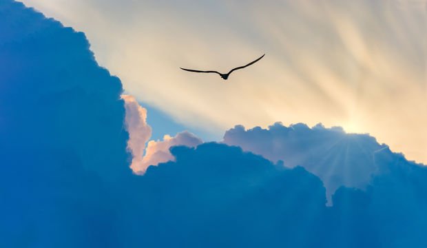 Ruhunuzun iyileştiğini nasıl anlarsınız?