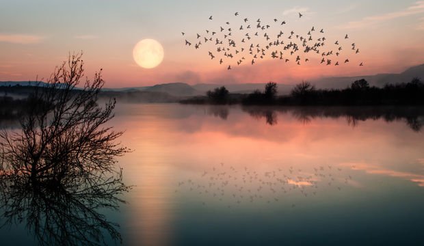 Bu Dolunay’ın Sabian Sembolü: Yenilgiyi zarafetle kabul eden bir general