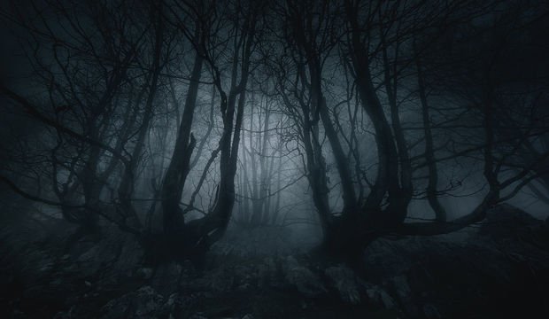 Kâbus göreni uyandırmalı mı?