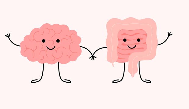 Bağırsak bakterileri ve beyin: Mikroplar tarafından mı kontrol ediliyoruz?