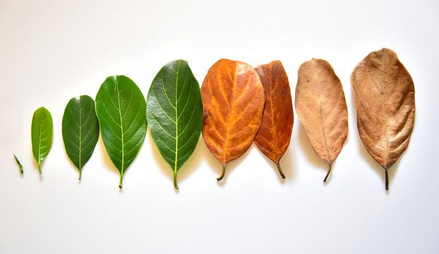 Act of dying
