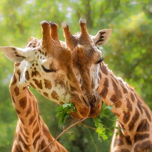 Hayatınızın aşkını nasıl bulabilirsiniz?