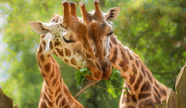 Hayatınızın aşkını nasıl bulabilirsiniz?