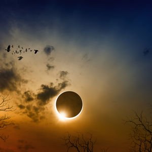 Akrep burcunda Güneş Tutulması - Özgürlük yolundaki son savaş!