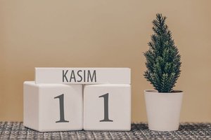 Özel tarih: 11.11