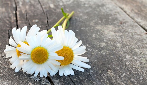 Kayg�y� azaltmak i�in kullan�lan 333 kural� nedir