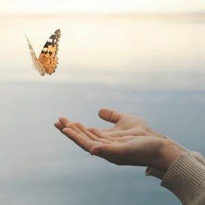 Sistem neyse insan da o'dur...