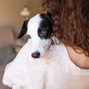 Evcil hayvanların da fobileri var! 