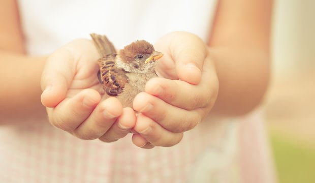 Nazik olmanın faydaları nelerdir?