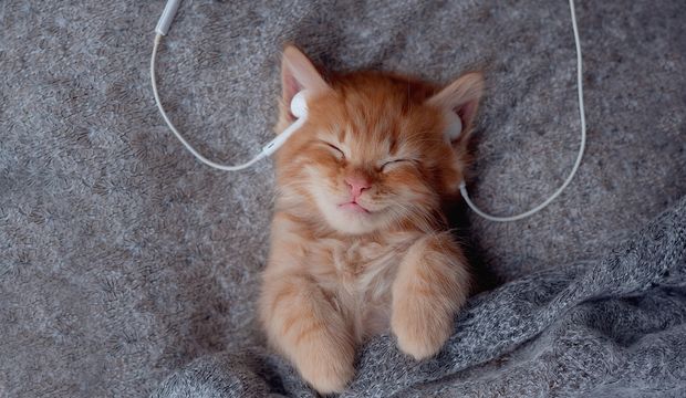 Uyumayı kolaylaştıran müzikler