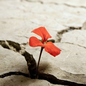 Doğa ile her zaman yaraları sarabiliriz