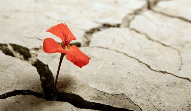 Doğa ile her zaman yaraları sarabiliriz