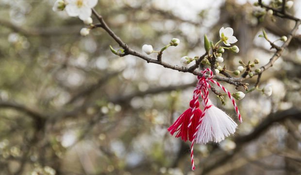 Marteniçka nedir? Marteniçka hikayesi nedir?