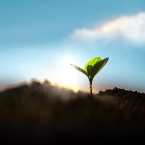 Deprem sonrası atık yönetimi