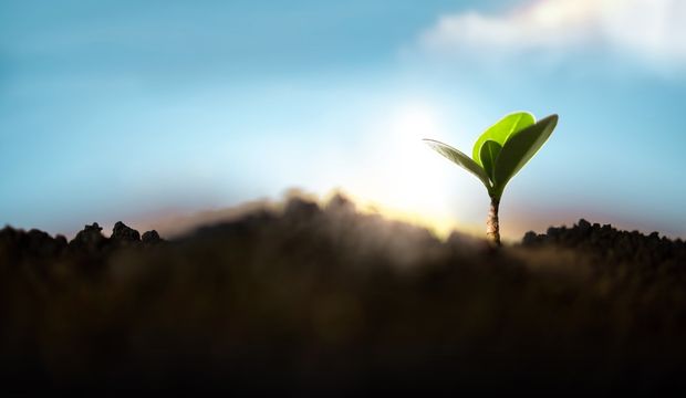 Deprem sonrası atık yönetimi