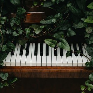 Hafta boyunca katılabileceğiniz etkinlikler