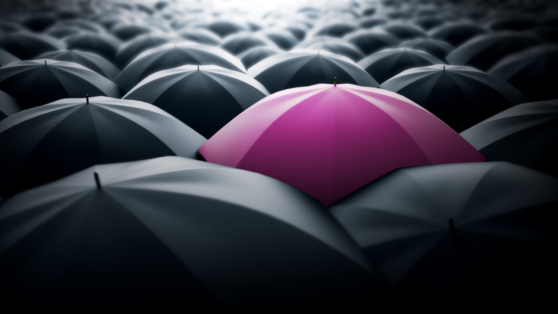 6284 sayılı kanun nedir? | Yaşam