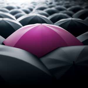 6284 sayılı kanun hakkında bilmemiz gerekenler...