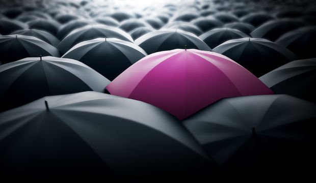 6284 sayılı kanun nedir?