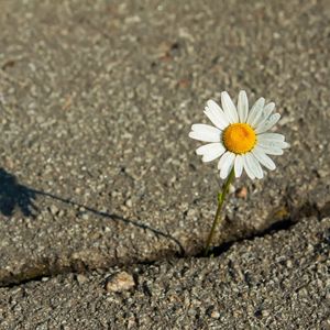 Zor durumlarda toparlanabilme becerisi: Resilience