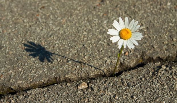 Zor durumlarda toparlanabilme becerisi: Resilience