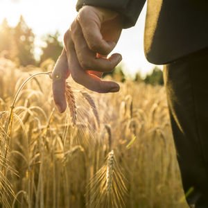 Dayanıklılığın oluşması için yardımcı faktörler nelerdir?