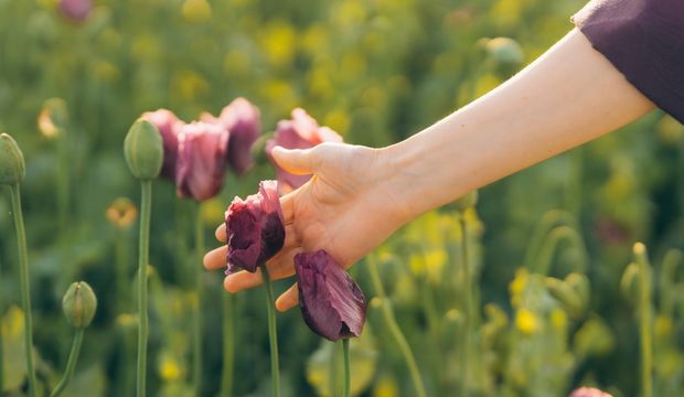 Stres atmanın yolları nelerdir?